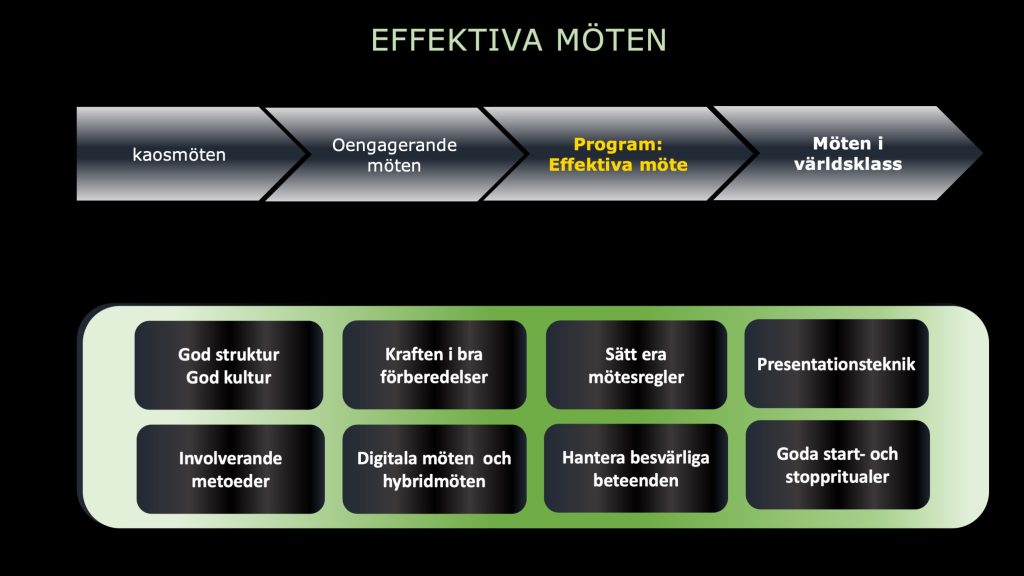 Effektiva möten Antoni Lacinai